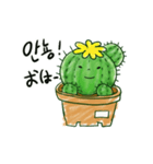 ちびサボテン(KR-JP)（個別スタンプ：1）