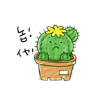 ちびサボテン(KR-JP)（個別スタンプ：6）