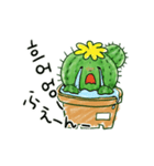 ちびサボテン(KR-JP)（個別スタンプ：13）