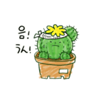 ちびサボテン(KR-JP)（個別スタンプ：16）