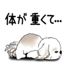 シーズー犬 「飛び出す」面倒くさいの...（個別スタンプ：2）