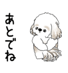 シーズー犬 「飛び出す」面倒くさいの...（個別スタンプ：4）