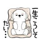 シーズー犬 「飛び出す」面倒くさいの...（個別スタンプ：10）