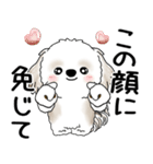 シーズー犬 「飛び出す」面倒くさいの...（個別スタンプ：13）