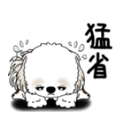 シーズー犬 「飛び出す」面倒くさいの...（個別スタンプ：15）