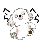 シーズー犬 「飛び出す」面倒くさいの...（個別スタンプ：17）