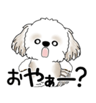 シーズー犬 「飛び出す」面倒くさいの...（個別スタンプ：18）