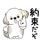 シーズー犬 「飛び出す」面倒くさいの...（個別スタンプ：19）