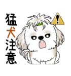 シーズー犬 「飛び出す」面倒くさいの...（個別スタンプ：24）