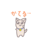 使える！ゆるふわ猫スタンプ2（個別スタンプ：11）