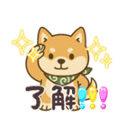 まめ柴ごころ（個別スタンプ：4）