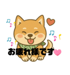 まめ柴ごころ（個別スタンプ：5）