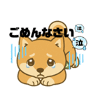 まめ柴ごころ（個別スタンプ：8）