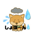 まめ柴ごころ（個別スタンプ：11）