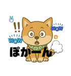 まめ柴ごころ（個別スタンプ：12）
