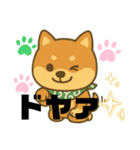 まめ柴ごころ（個別スタンプ：13）