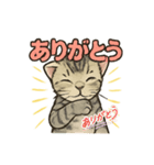 ちび大豆くん_猫スタンプ（個別スタンプ：1）