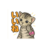 ちび大豆くん_猫スタンプ（個別スタンプ：2）
