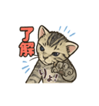ちび大豆くん_猫スタンプ（個別スタンプ：3）