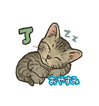 ちび大豆くん_猫スタンプ（個別スタンプ：6）
