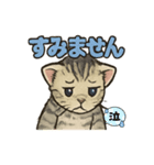 ちび大豆くん_猫スタンプ（個別スタンプ：7）