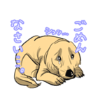 ゴールデンレトリバーの看板犬（個別スタンプ：2）