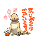 ゴールデンレトリバーの看板犬（個別スタンプ：6）