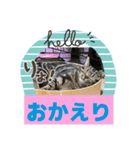 メンタル屋#あいさつ#笑って（個別スタンプ：1）