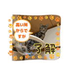 メンタル屋#あいさつ#笑って（個別スタンプ：2）