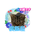 メンタル屋#あいさつ#笑って（個別スタンプ：3）