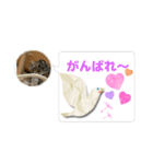 メンタル屋#あいさつ#笑って（個別スタンプ：7）