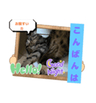 メンタル屋#あいさつ#笑って（個別スタンプ：8）