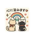 黒柴まろと猫てちのBIGスタンプ（個別スタンプ：9）