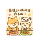柴犬こてつと猫てちのBIGスタンプ（個別スタンプ：5）