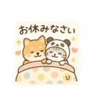 柴犬こてつと猫てちのBIGスタンプ（個別スタンプ：7）