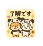 柴犬こてつと猫てちのBIGスタンプ（個別スタンプ：12）