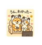 柴犬こてつと猫てちのBIGスタンプ（個別スタンプ：15）