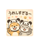 柴犬こてつと猫てちのBIGスタンプ（個別スタンプ：16）