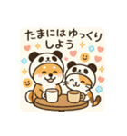 柴犬こてつと猫てちのBIGスタンプ（個別スタンプ：18）