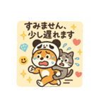 柴犬こてつと猫てちのBIGスタンプ（個別スタンプ：20）