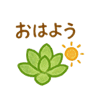 多肉植物と毎日使える言葉 クレヨン（個別スタンプ：1）