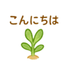 多肉植物と毎日使える言葉 クレヨン（個別スタンプ：3）