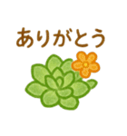 多肉植物と毎日使える言葉 クレヨン（個別スタンプ：4）