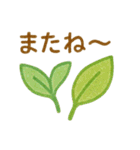 多肉植物と毎日使える言葉 クレヨン（個別スタンプ：5）