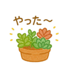 多肉植物と毎日使える言葉 クレヨン（個別スタンプ：15）