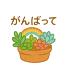 多肉植物と毎日使える言葉 クレヨン（個別スタンプ：16）