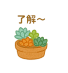 多肉植物と毎日使える言葉 クレヨン（個別スタンプ：17）