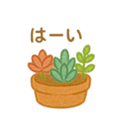 多肉植物と毎日使える言葉 クレヨン（個別スタンプ：20）