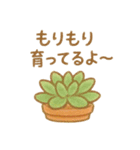 多肉植物と毎日使える言葉 クレヨン（個別スタンプ：24）