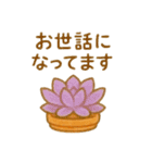 多肉植物と毎日使える言葉 クレヨン（個別スタンプ：28）